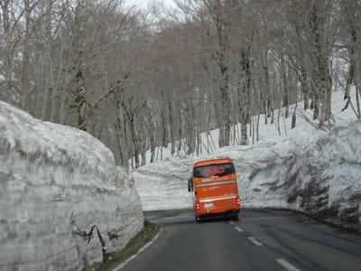 八甲田雪の回廊を走るバス