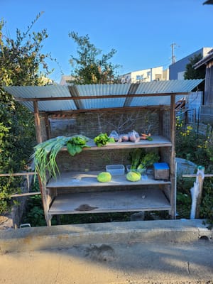 農家無人 野菜売り場