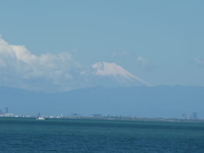遥かに望む富士山
