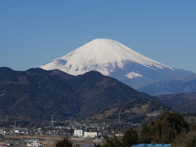 松田町 西平畑公園から見る富士山