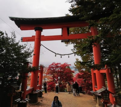 「赤い大鳥居 」新倉山富士浅間神社  (秋の山梨県紅葉絶景3景めぐり)     2023年11月13日