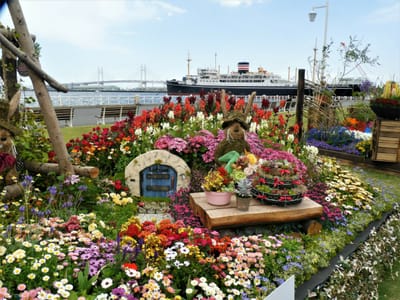 【山下公園】よこはま花と緑のスプリングフェア・花壇展