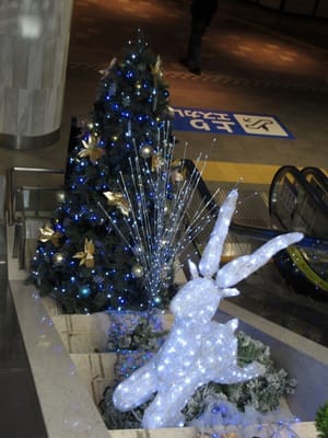 横浜東口エスカレーターのクリスマスツリー　ここのは毎年青中心ですっきりしてるの
