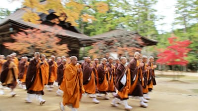 紅葉の「壇場伽藍」を歩く「修行僧の皆さん」を流し撮りしました。
