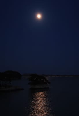 ２０２１年、松島の朧月夜　（三月十五夜）