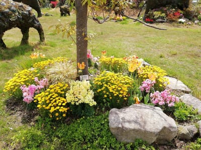 「小さな花壇」　　かしい花園シルバニアファミリー    風景お花編      2021年４月９日