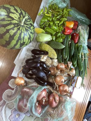 大阪の都会から信州の田舎に野菜が届く2023　🥬♥・。.。*♥*。.。・*♥*・