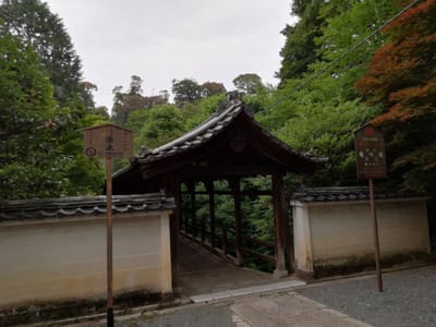 東福寺②  (乗り物と緑が美しい寺社巡りツアー２日目 )    2022年6月18日
