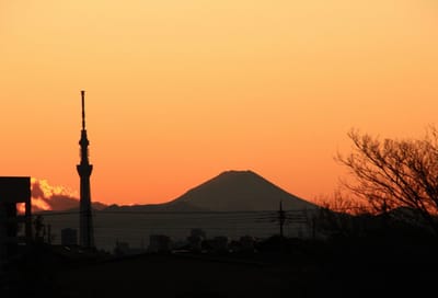 東京初雪の日の朝〈 夕〉4