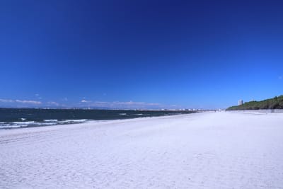 白い浜