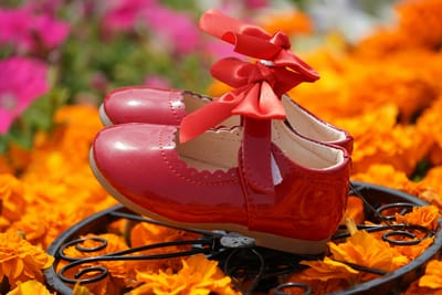 花壇の赤い靴
