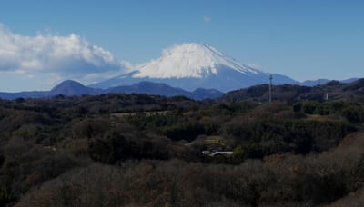 "中井中央公園とその周辺"から見る富士山