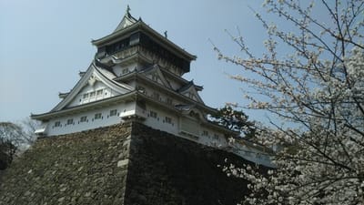 平成３０年も同じ場所で満開のソメイヨシノ桜🌸撮影📱