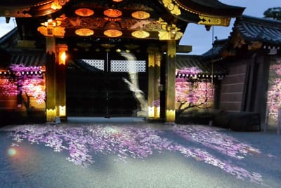 二条城唐門に桜と鶴が舞う