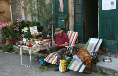 南フランス・Provenceのセニョン村  ラベンダーの手作りお土産売りとおとなしい犬