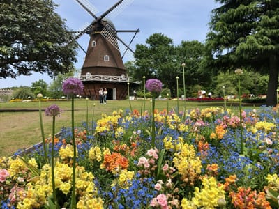 アンデルセン公園風車前の花壇