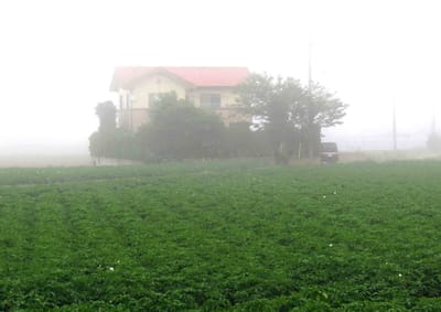 霧の日の一軒家