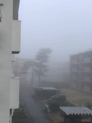 今朝は凄い濃霧だった