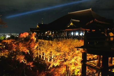 京都・清水寺紅葉ライトアップ