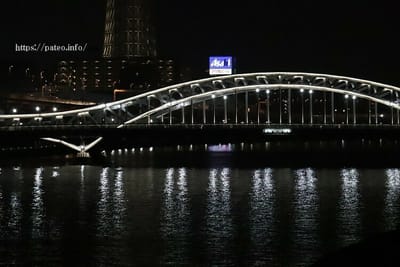 墨田川と白髭橋の夜景