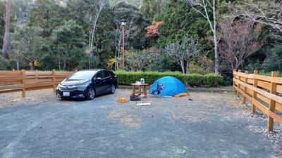 愛知県民の森　ソロキャンプ