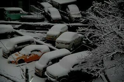 知多では大雪だ！