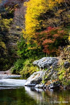 秋川渓谷と御岳渓谷へ紅葉狩り