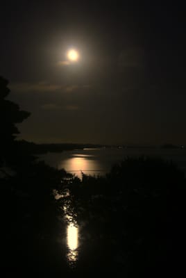 名月観るなら松島へ