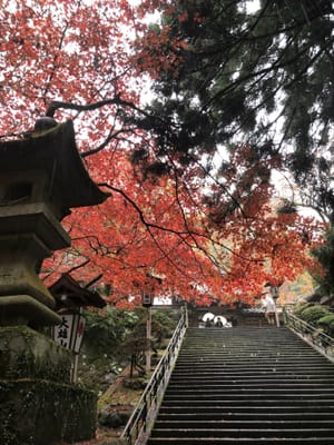 山のお寺の紅葉