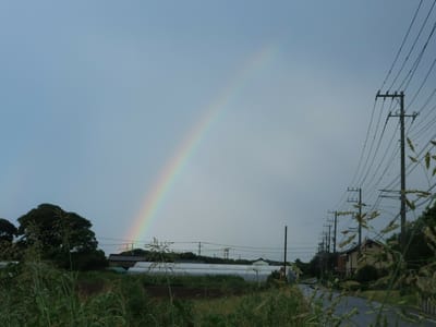 虹