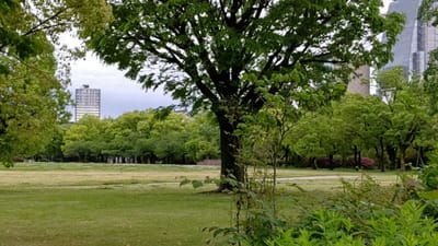 大阪城西の丸庭園