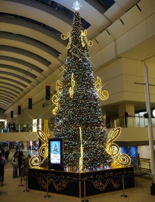 ☆ クイーンズ スクエア 横浜 Play hope Tree 　～　希望を奏でるクリスマスツリー