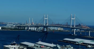 <横浜スカイウォークがついに復活！ 大黒ふ頭に客船が着岸する土日祝限定で無料開放！>