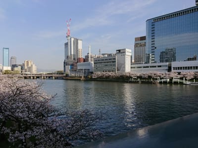 大阪城と大川の桜