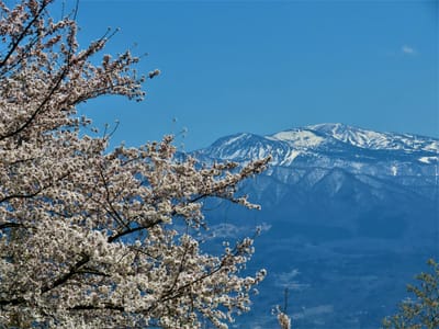 里山の　春景色