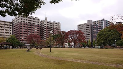 熊本市 中央区 白川公園