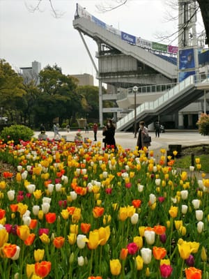 　　🌷 よこはま花と緑のスプリングフェア 2022 開催！