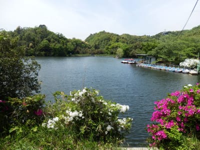 貴志川線沿いの散策ー大池遊園