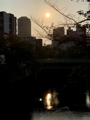 近所の川面に映える夕日