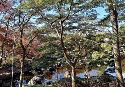 　<大磯城山公園> 日本情緒あふれる公園を彩る " 紅葉 "