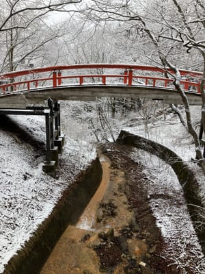 雪の中の河鹿橋❗️