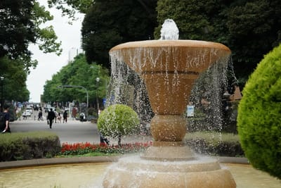 横浜公園噴水