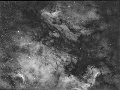 北アメリカ星雲とペリカン星雲の間