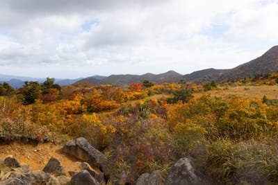 須川高原の紅葉
