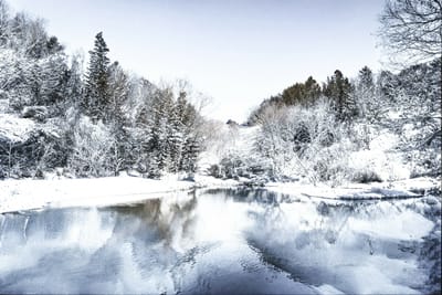 谷戸山公園の雪景色
