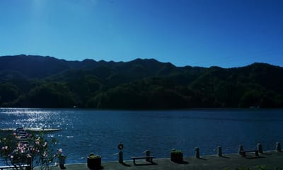 神奈川県・相模湖の紅葉 「 今見頃 」