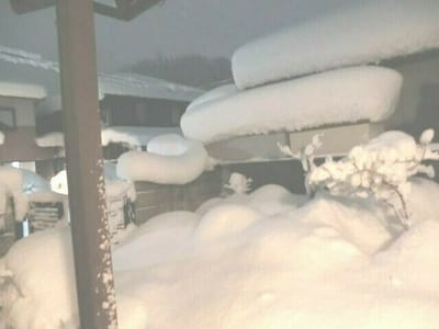 彦根大雪