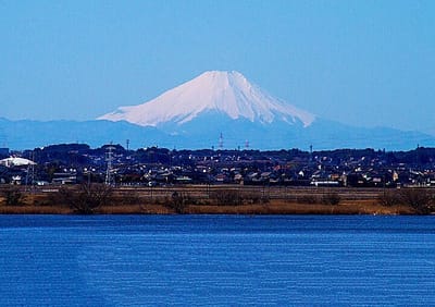 茨城県牛久沼から見た富士