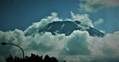 <蔵出し写真>　🗻　"富士山撮影会"　🗻 花の都公園