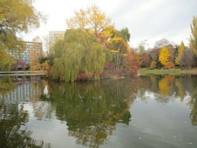 札幌中島公園の紅葉